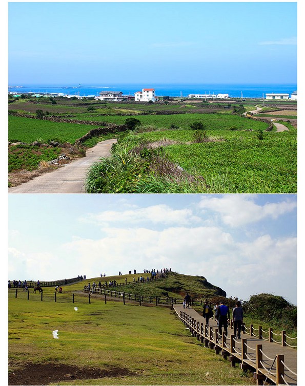 쿠팡 모바일 [제주] 우도도항선+아쿠아플라넷