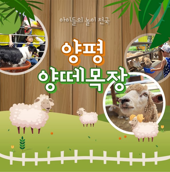 쿠팡 모바일 [경기] 양평 양떼목장 이용권